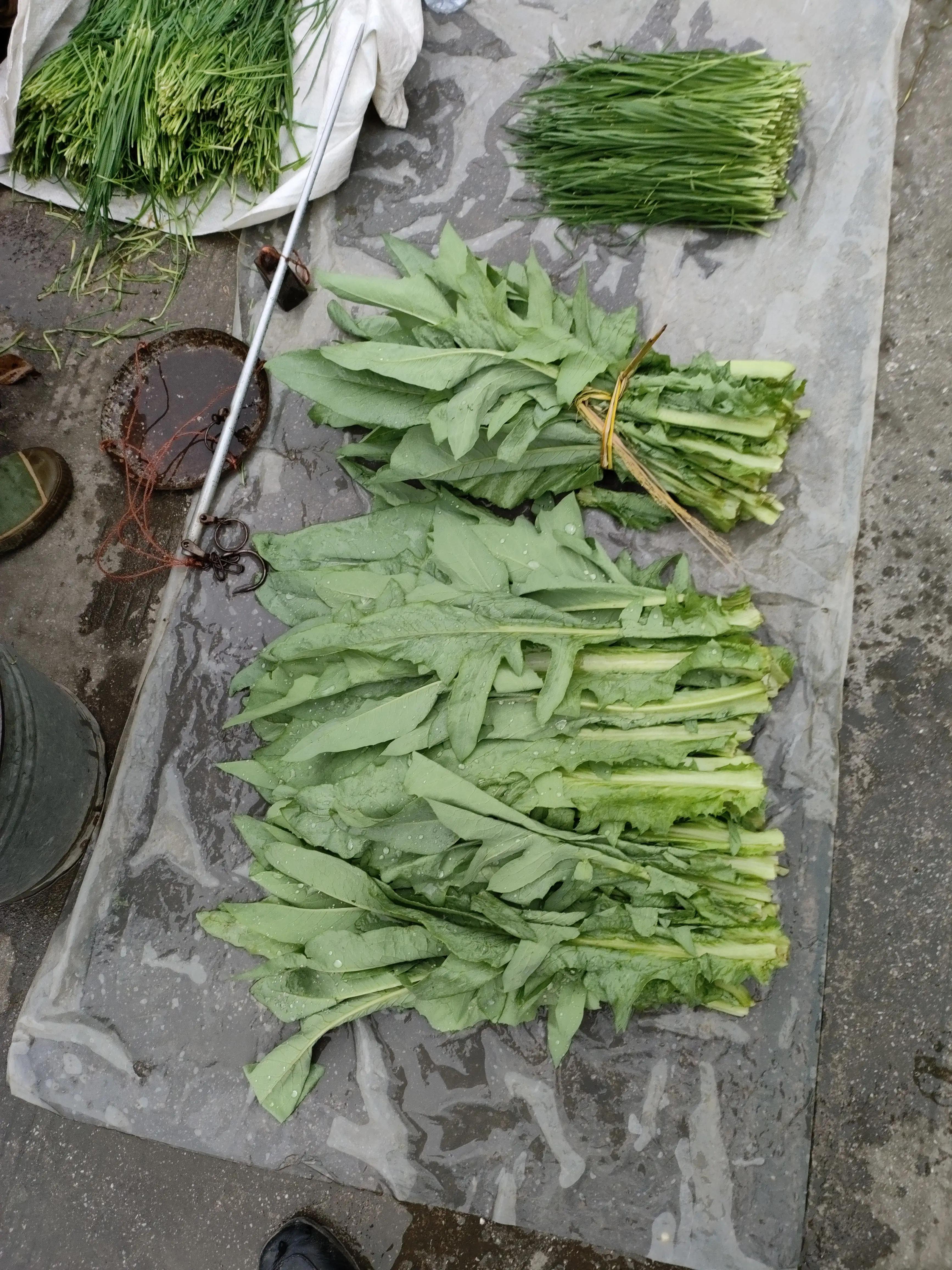 怎么把手机支付关闭,手机支付功能不能全部关闭