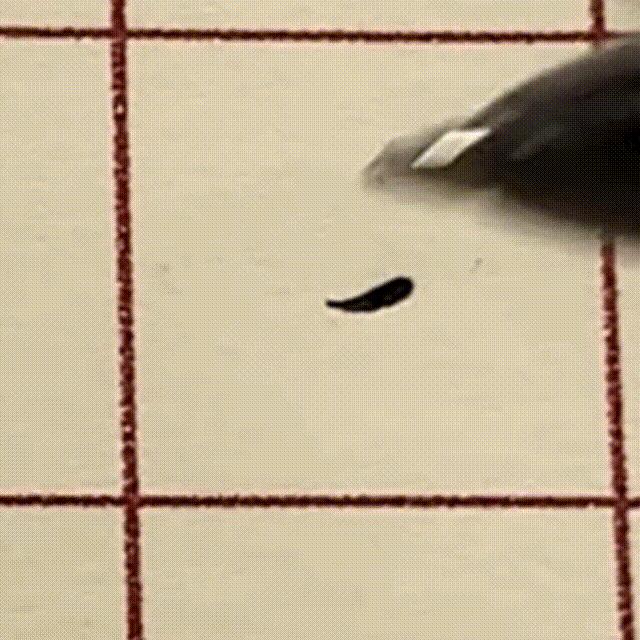 一句口诀学会十个常用笔画,常用的基本笔画有哪些