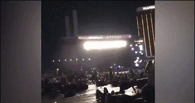 美2岁儿童玩枪打死母亲,外国两岁小孩开枪打死母亲