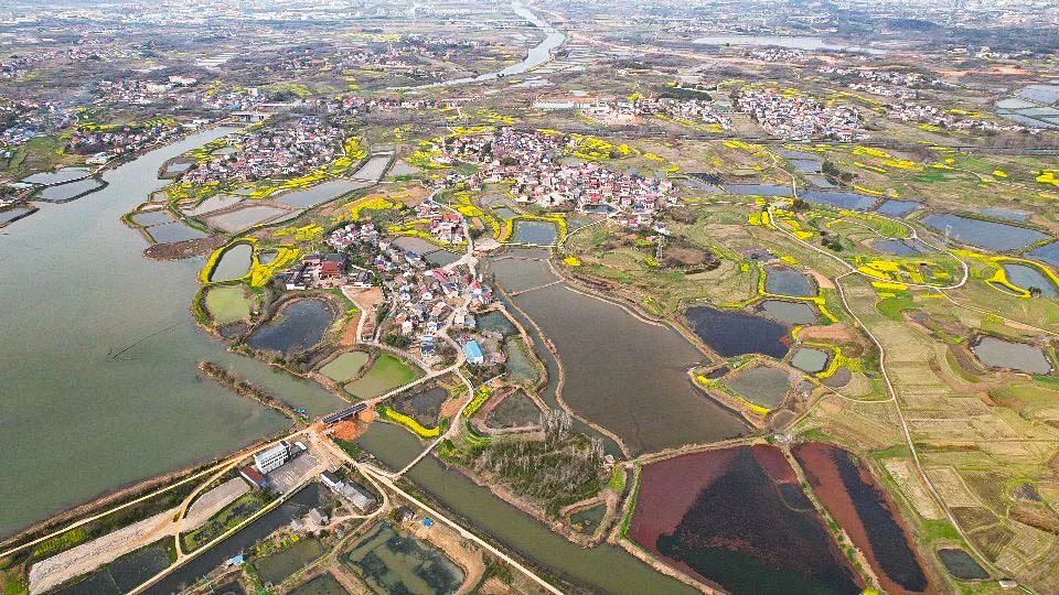 鄂州市泽林镇最新消息,鄂城区泽林镇泽林街