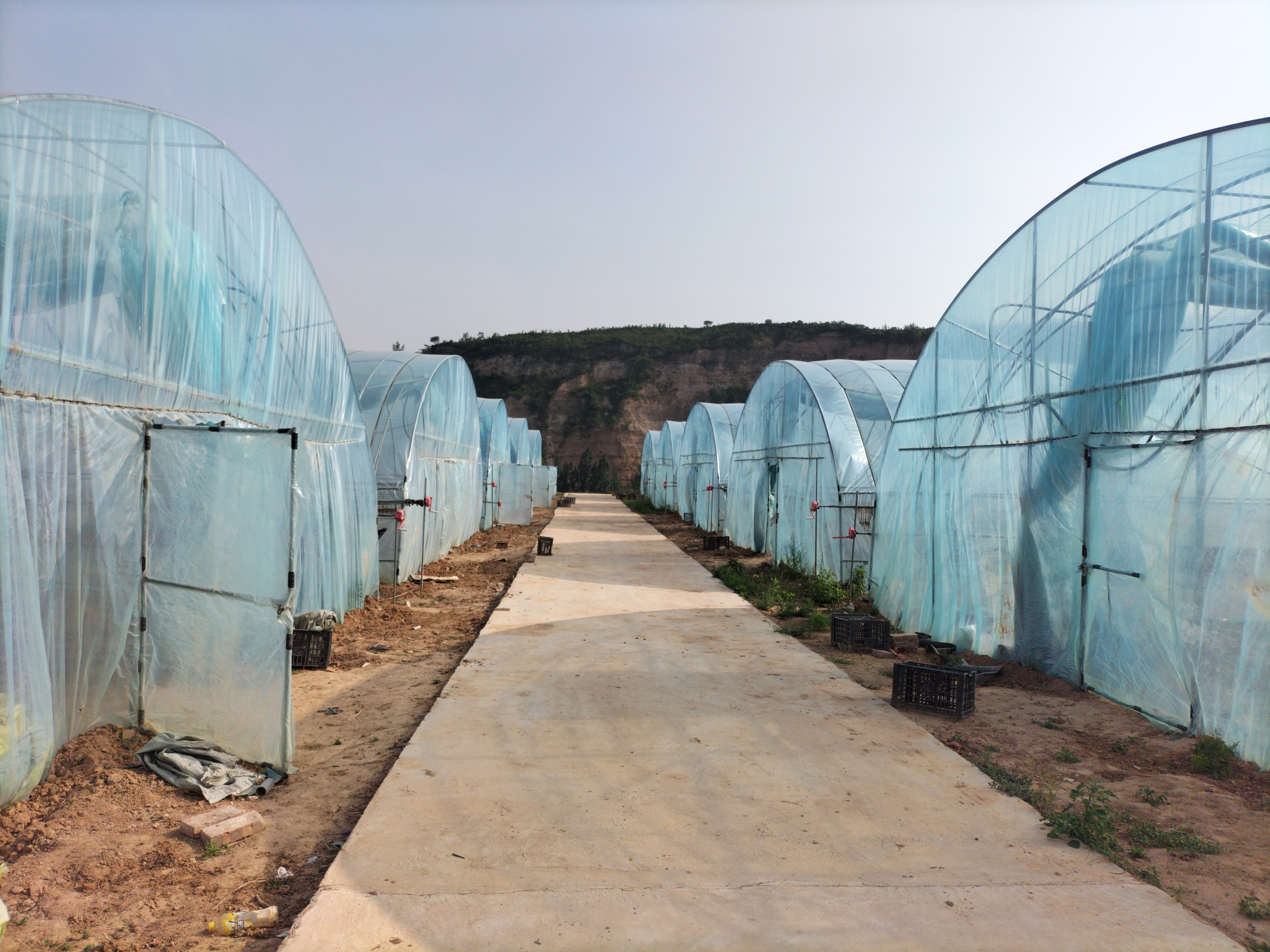 现代农业可以创业吗,农业创业有哪些机遇呢