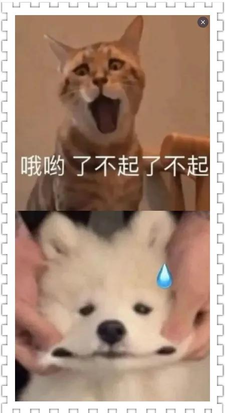 图片怎么拼接成长图发朋友圈隐藏,超过十张图拼接成长图怎么弄