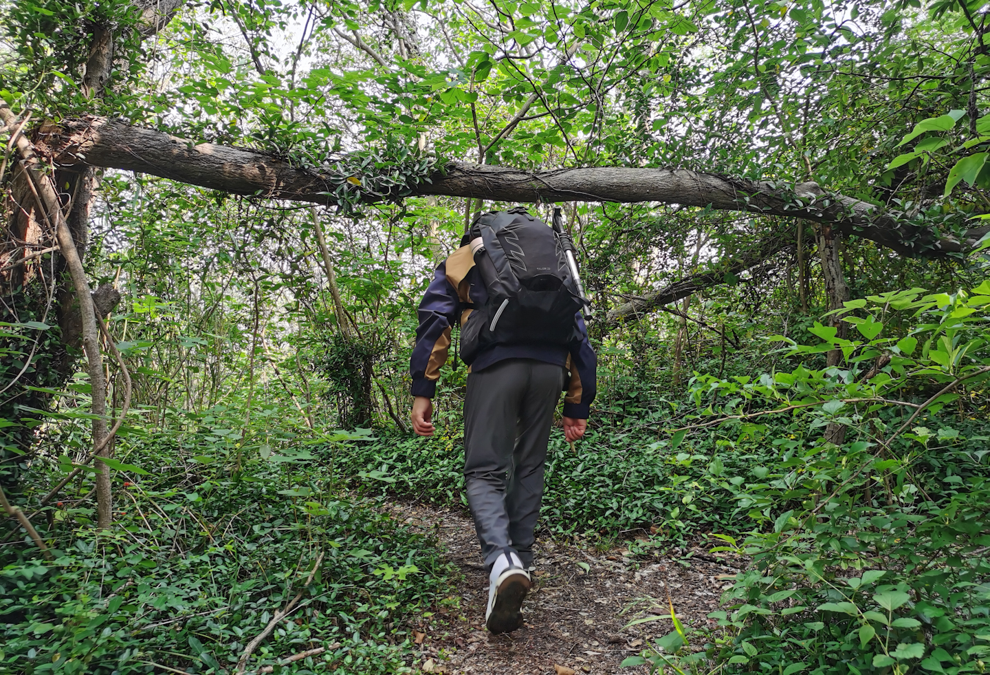 背包小鹰osprey,小鹰魔爪26背包功能详解