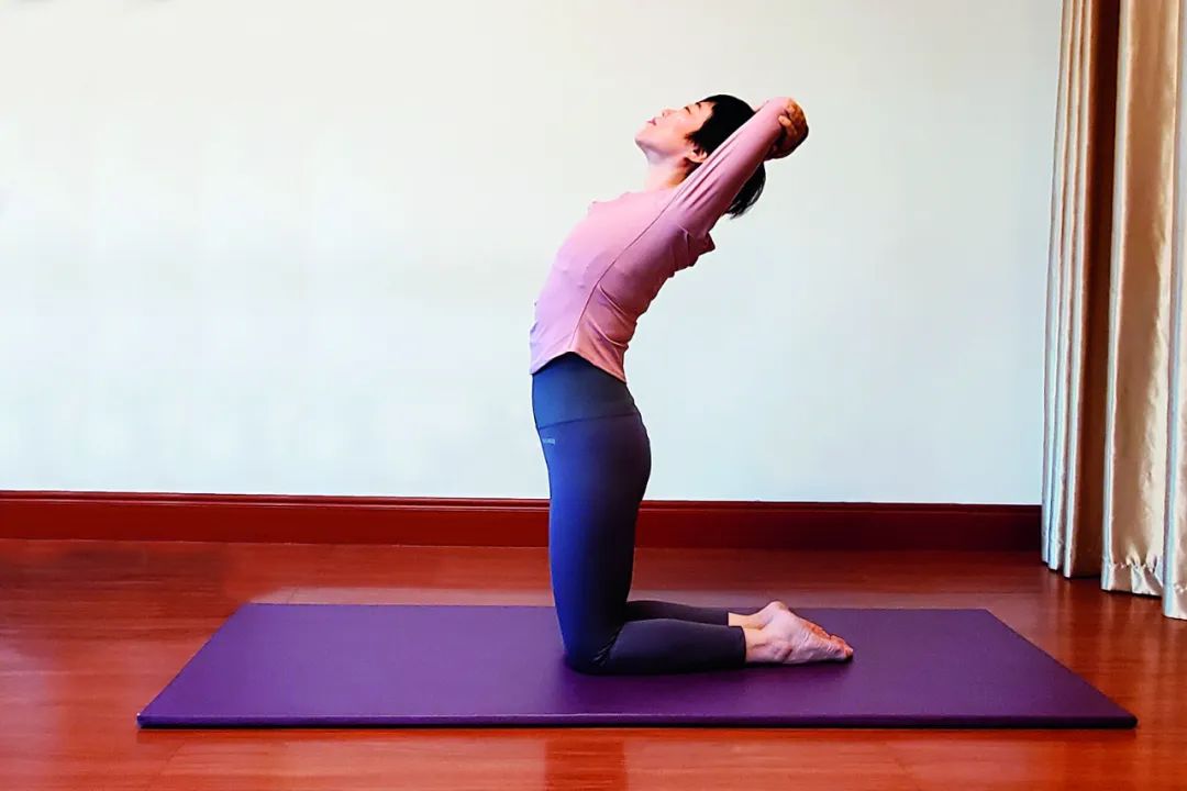 心慌气短胸闷是气血不足引起的吗,心慌气短胸闷是颈椎引起的吗