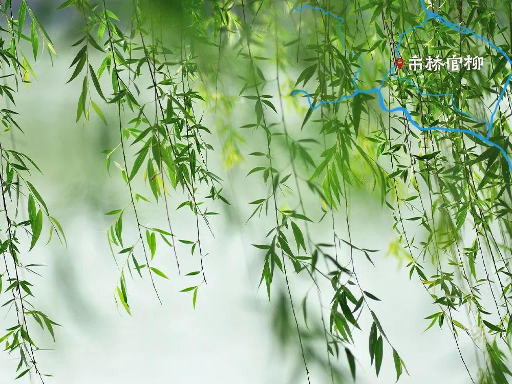 美酒成都,成都的美酒