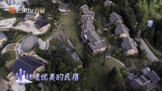 梓山漫居为何频上妻子的浪漫旅行，春日迟迟再出发等综艺—AD国际