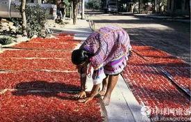 在美国的墨西哥人有多少,在美国的墨西哥人优秀吗