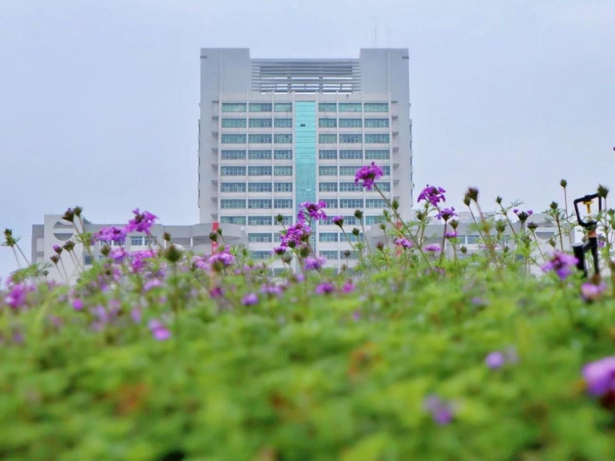 东华南华西华北华哪个大学好,东华西华南华北华