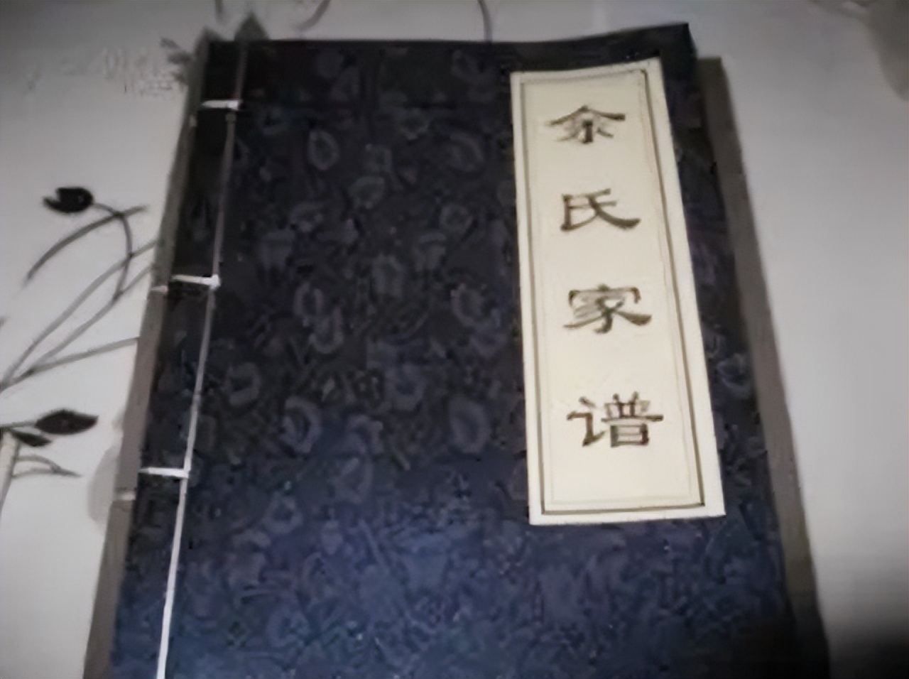 成吉思汗在四川的后裔,成吉思汗后裔改名换姓