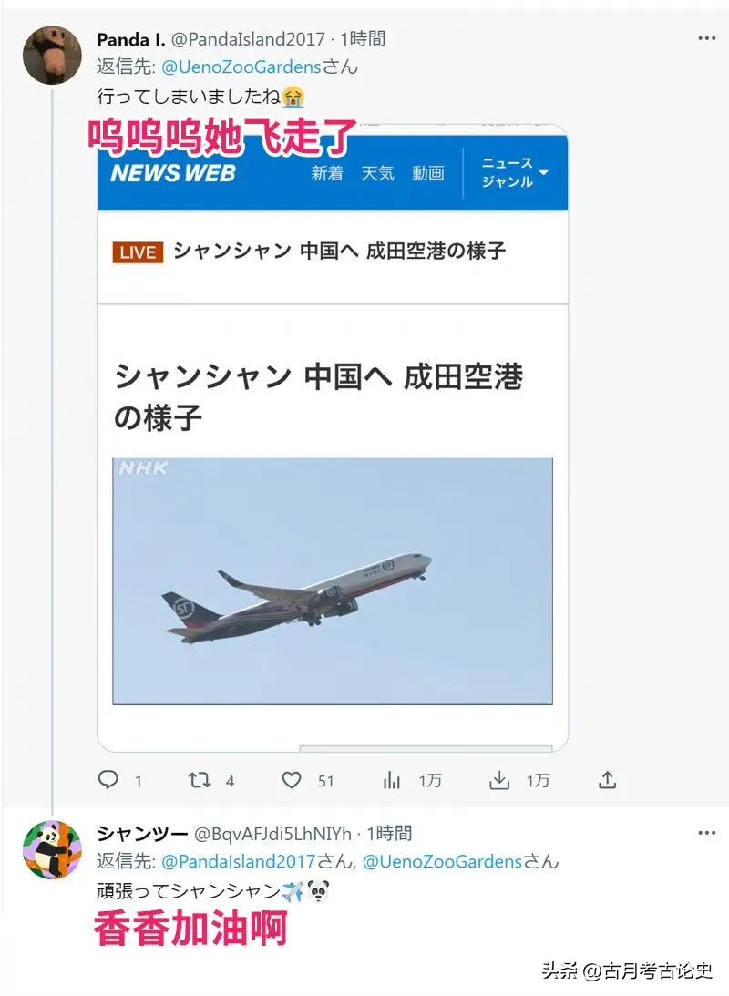 旅日大熊猫回国日本人反应,四只旅日大熊猫陆续归国