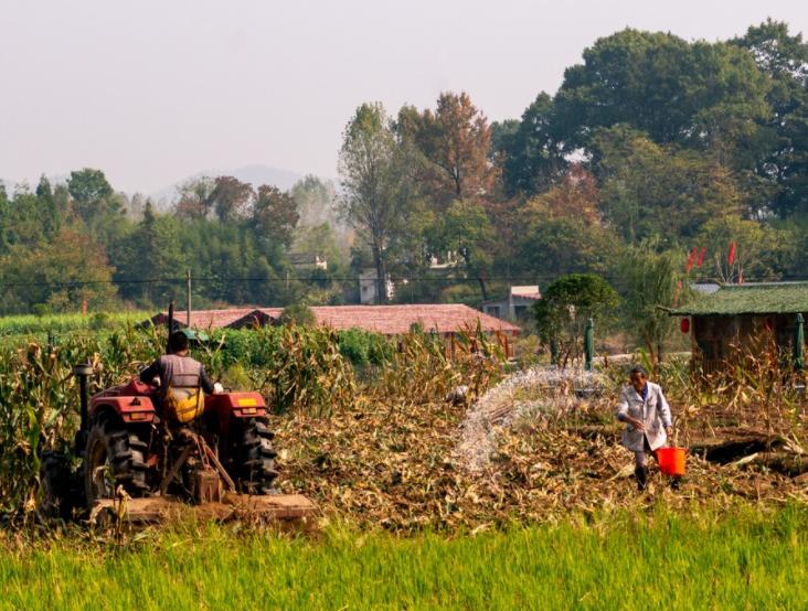 阿根廷免耕种植技术,阿根廷免耕技术