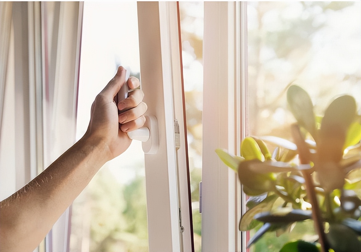 床上螨虫怕的不是“暴晒”？教你卧室放点“它”，螨虫消失了