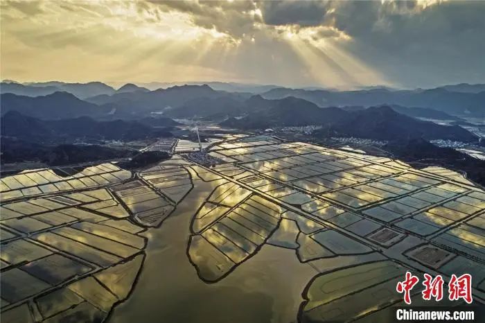 大闸蟹攻略带你品味大闸蟹,哪里大闸蟹可以媲美阳澄湖大闸蟹