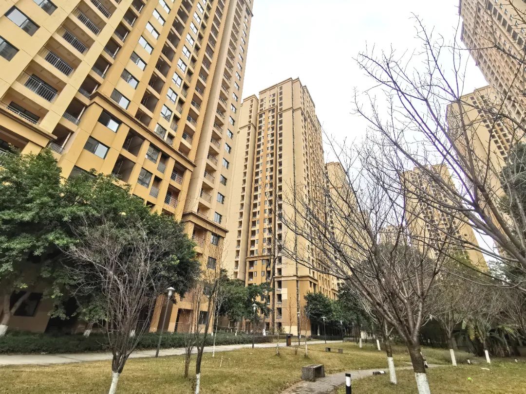 深度调查｜2.2万套！拎包入住！欢迎来科学城安居乐业