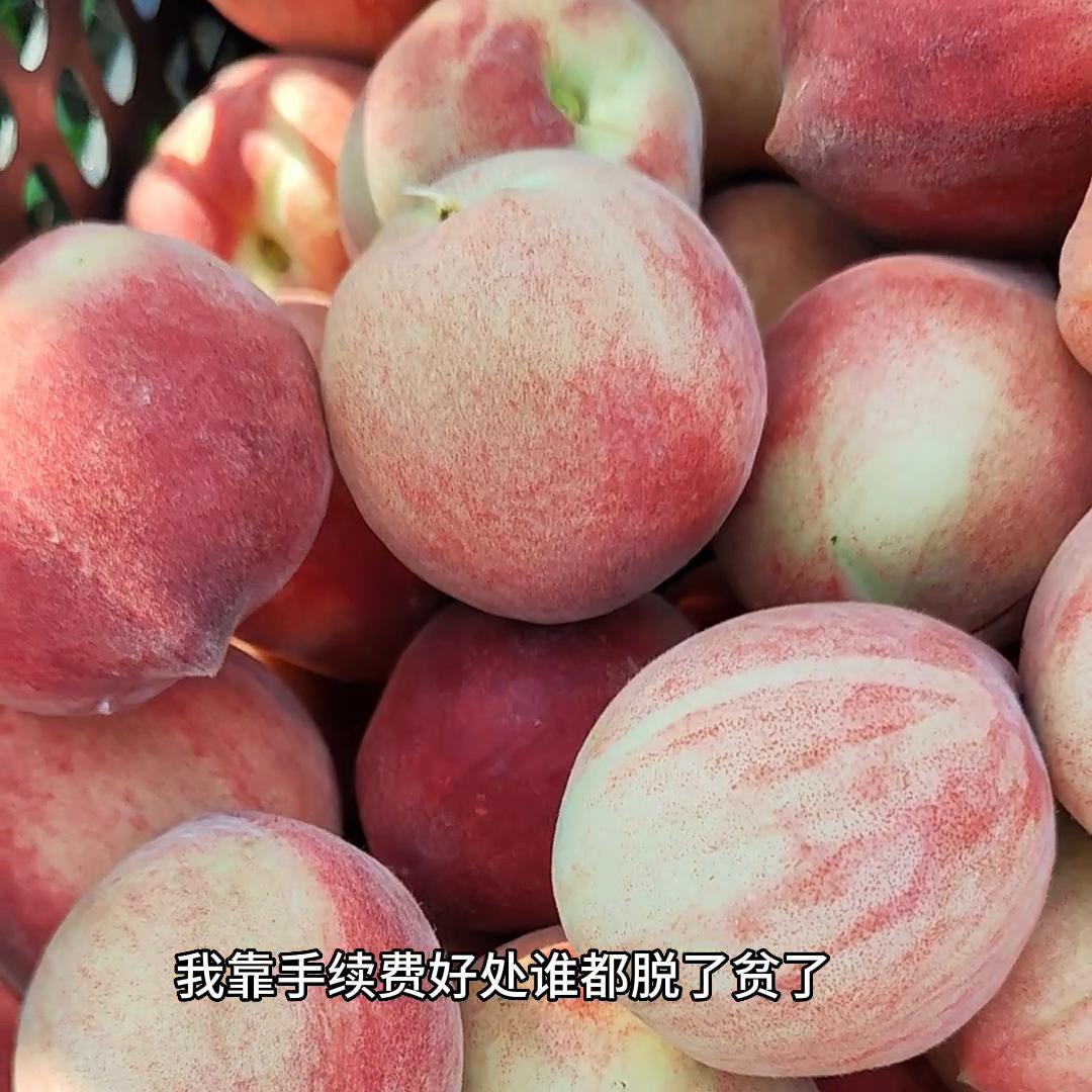 如果想要致富你应该这样做,如果你想快速赚钱就去做销售