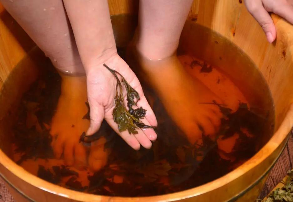 艾叶怎么祛除湿气效果好,艾叶怎么吃可以祛除身上的湿气