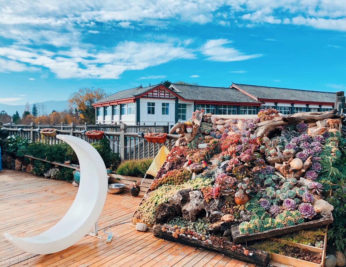 五个人去云南旅游要多少钱够玩的,两个人去云南旅游攻略多少钱