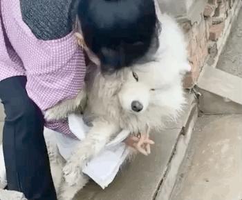 “谁再给猫喝酒，我扇烂ta的嘴巴！”