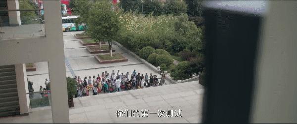 张子枫雷佳音面试,雷佳音张子枫天才基本法男明星