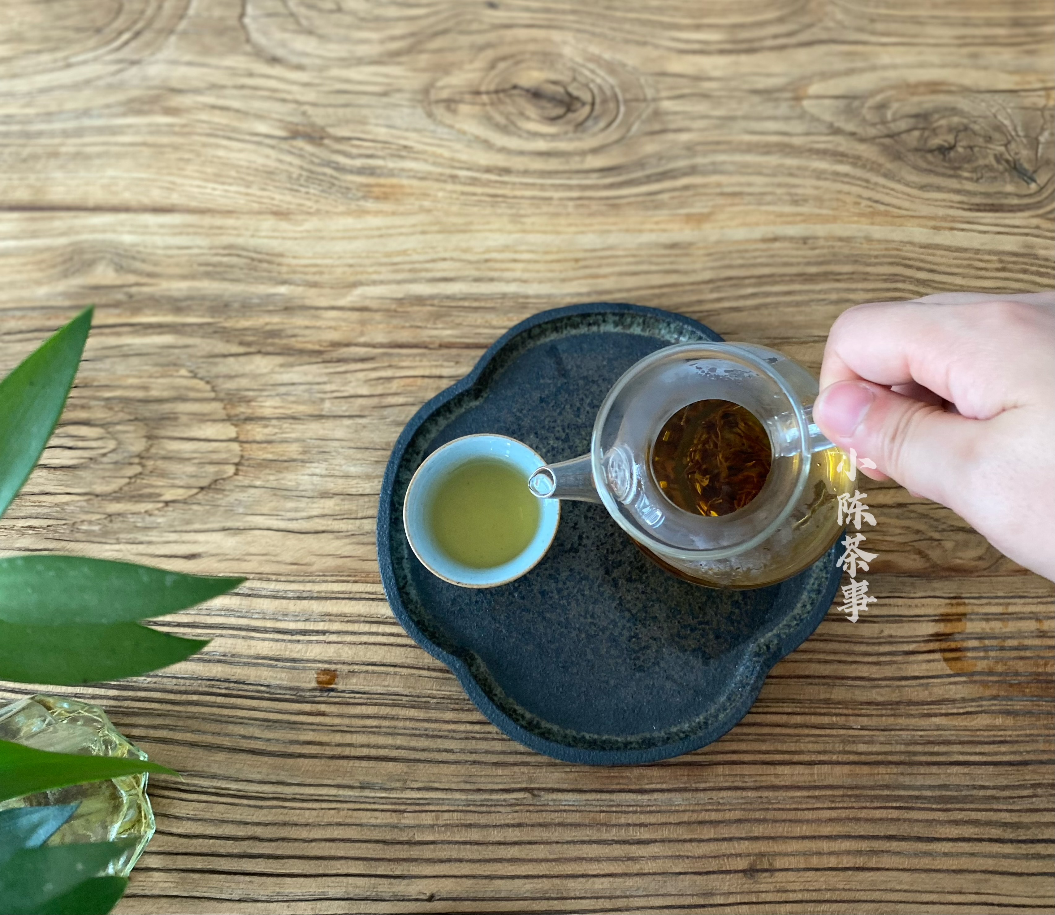 夏天喝红茶怎么喝,夏天可以泡红茶喝吗