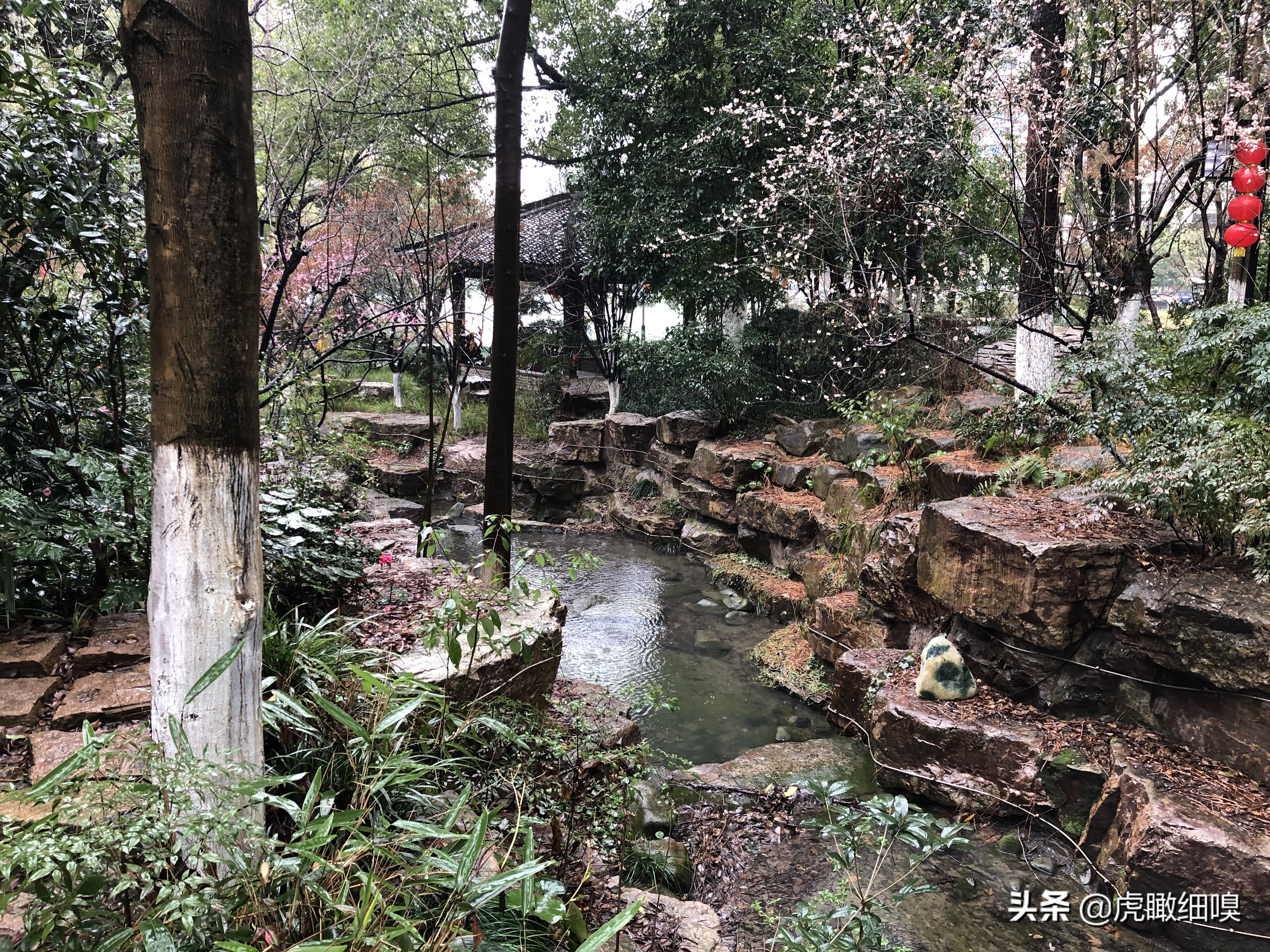 临平水景公园秋天,临平公园当地知名度最高的公园