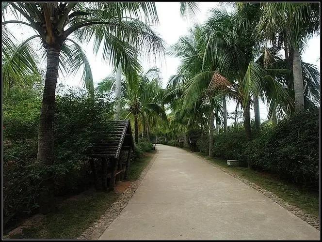 陵水的这些小众景点你会选哪个呢,海南旅游小众城市陵水哪里