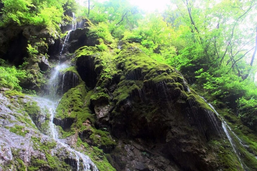 生态白酒品牌,生态原浆酒中国名酒