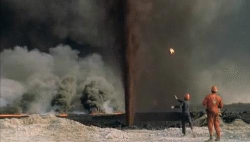 真实大象图片大全可爱,真实野生大象图片