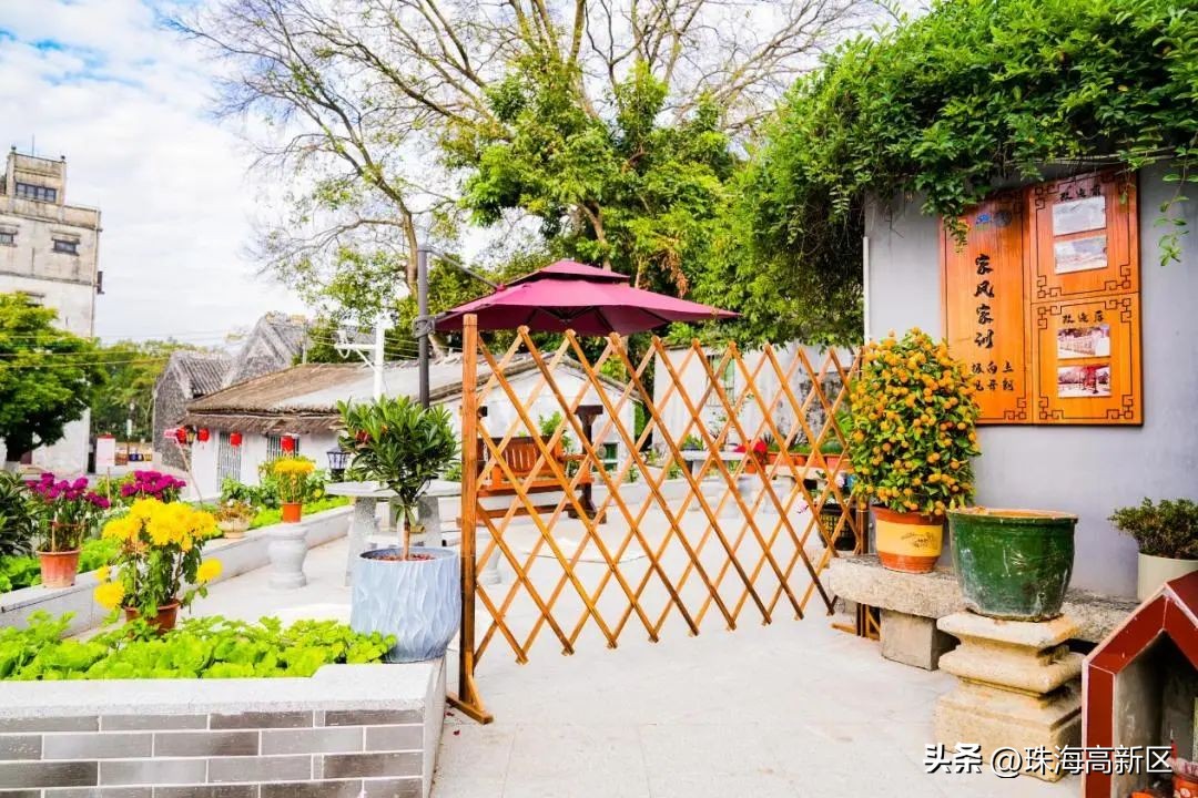 家门口的公园也有别样的风景,家门口的超美公园