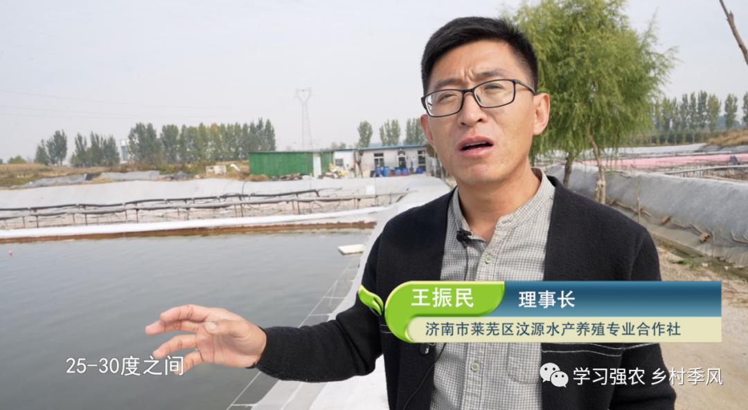 王振民的“蛭”富经