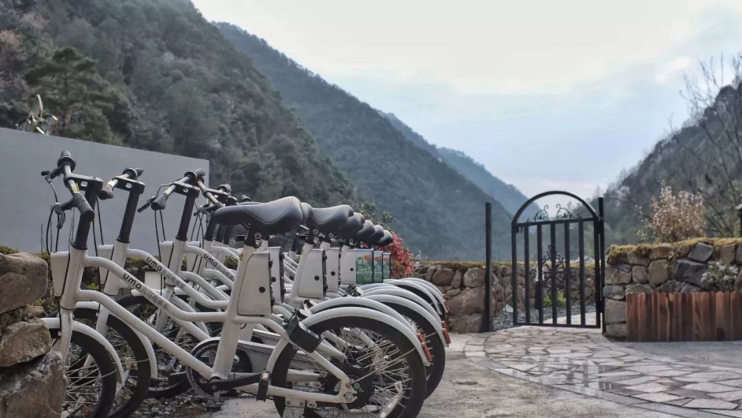 杭州出发2h,睡进千岛湖畔6家美宿，避开人群赏湖景山色丨南方民宿