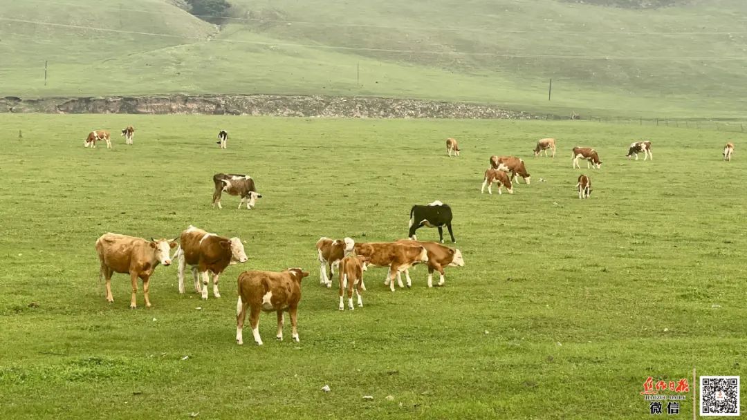 兴安岭上兴安盟扎赉特旗,兴安岭属于兴安盟吗