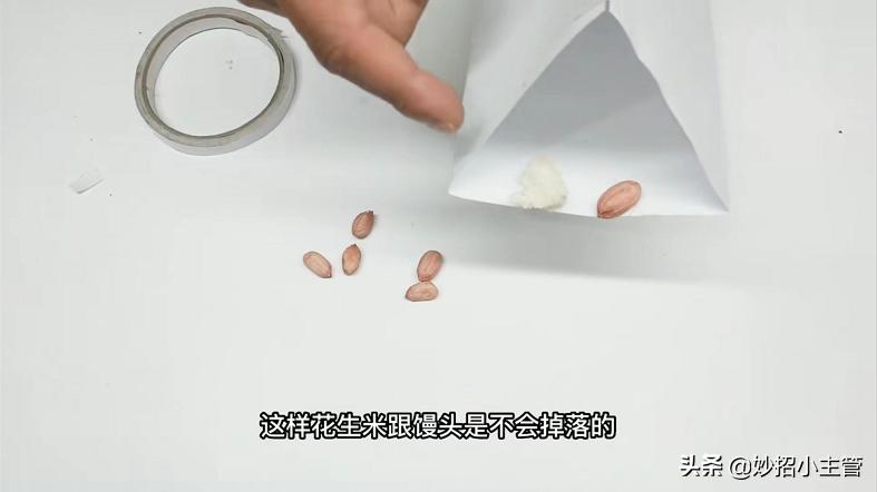 家里有老鼠别着急,家里有老鼠怎么办小妙招不用香油