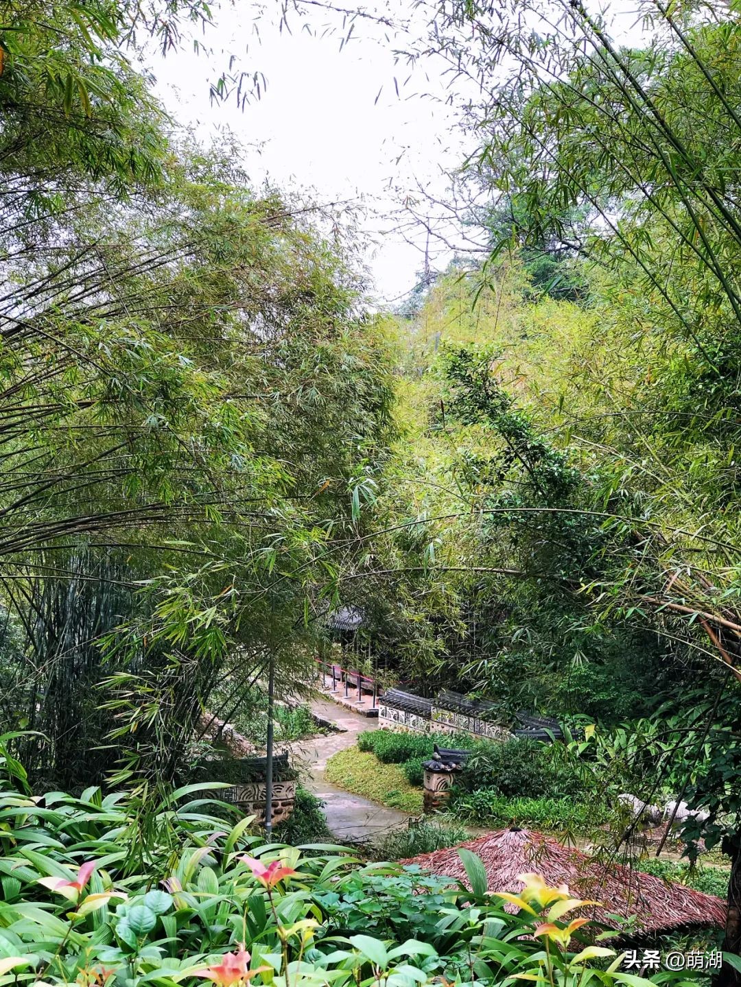 慢下来看风景静下来陶冶情操,慢下来享受安静的惬意时光