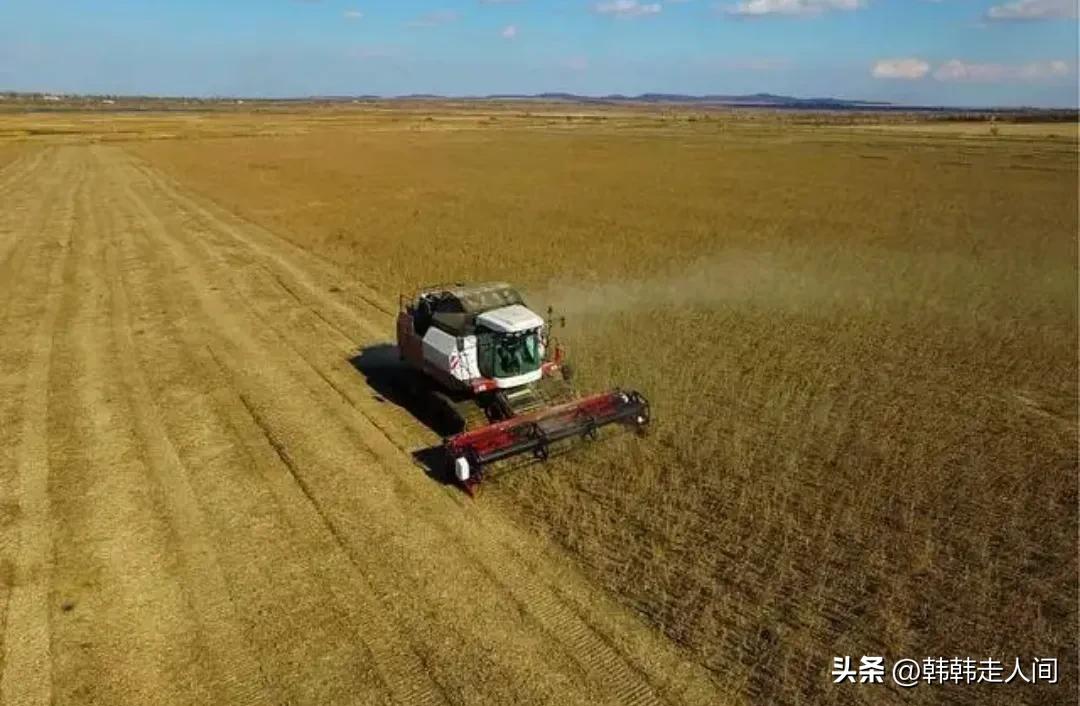 俄罗斯西伯利亚大铁路选择的原因,关于俄罗斯的故事