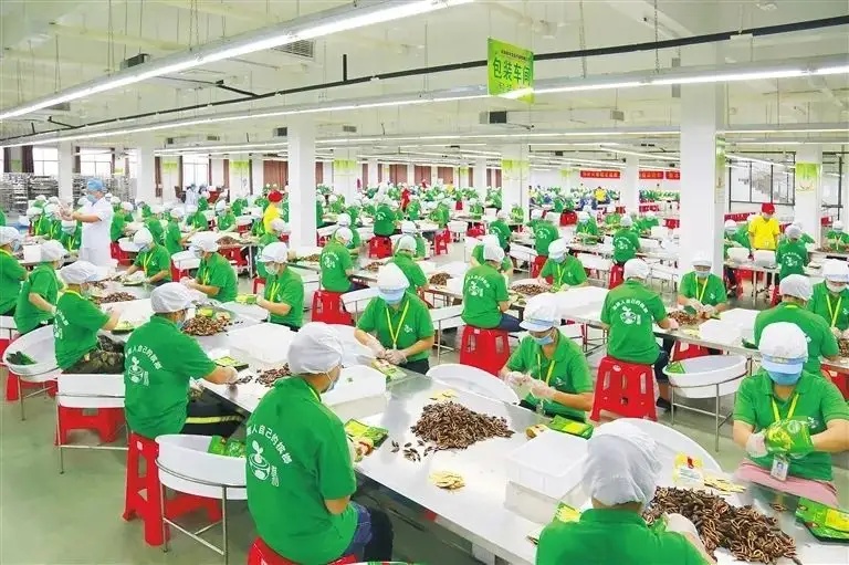 槟榔大王真实身份,湖南槟榔大王是谁