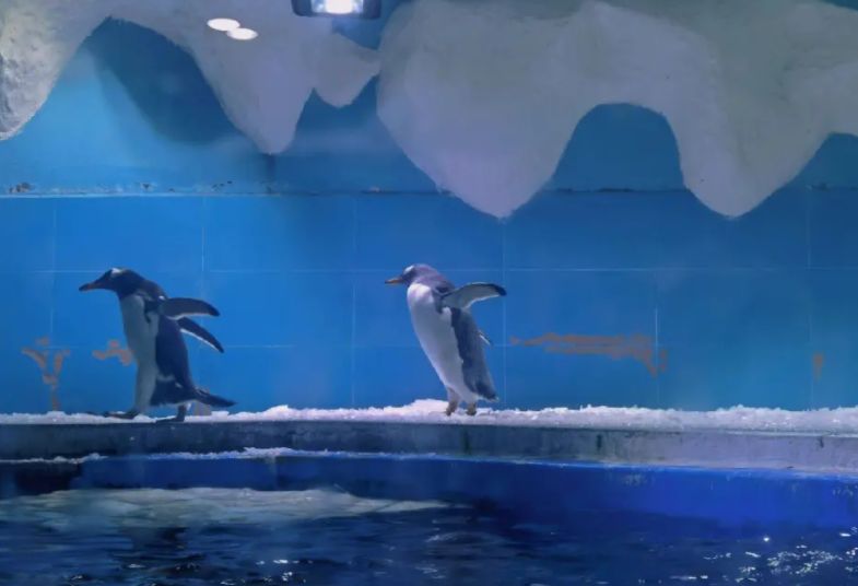 南京海底世界旅游景点攻略,南京十大海底世界景点