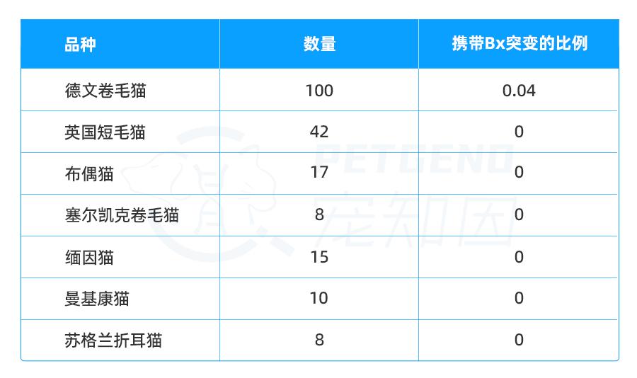 重点色德文卷毛猫棕色,德文卷毛猫有什么基因缺陷吗