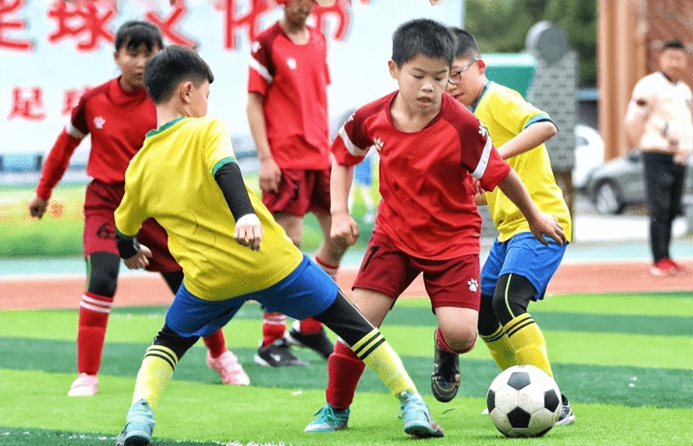 打造名校特色教育品牌,打造教育强区学校应该怎么做