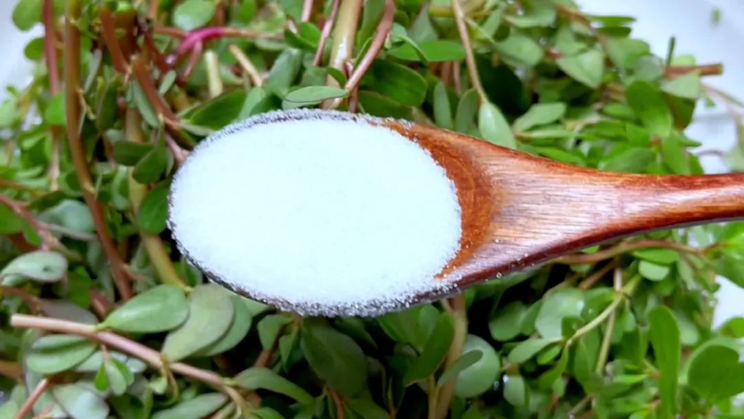 临近三伏最该吃这菜鲜嫩又营养,三伏天鸭肉炖什么