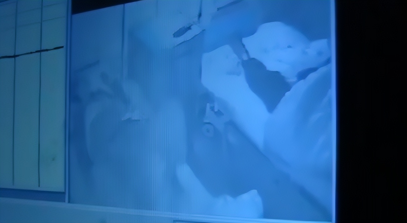 河南农妇40年不睡觉是真的吗,河南一女子竟然能40年不睡觉