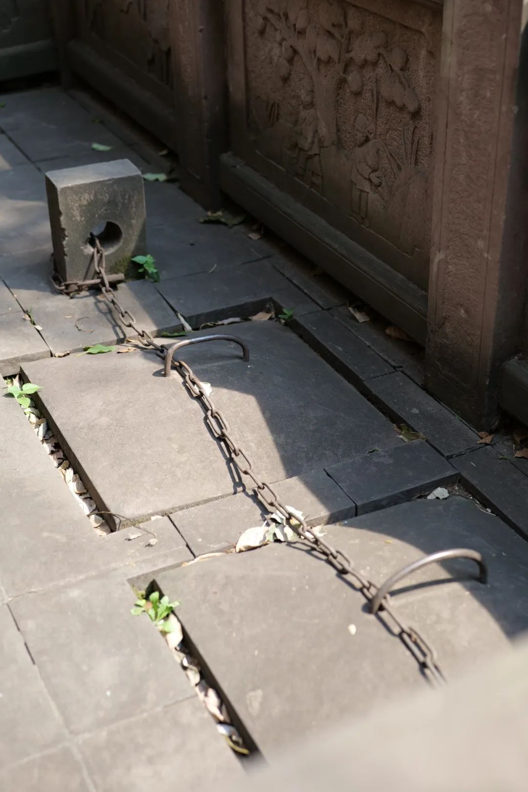 成都人吃火锅用的香油是什么油,成都吃火锅的香油是哪一种种类