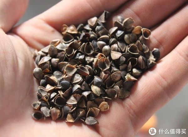 颈椎枕对颈椎病有用吗,记忆枕对颈椎好吗