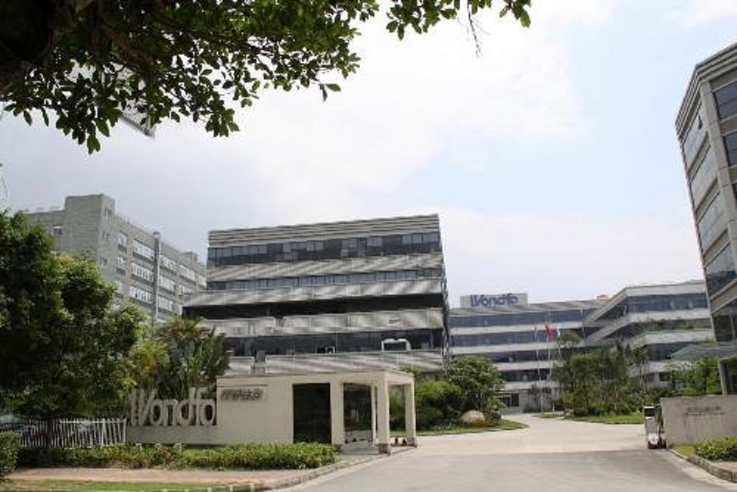 广东“广州大黑马”：30岁白手创业，市值超130亿