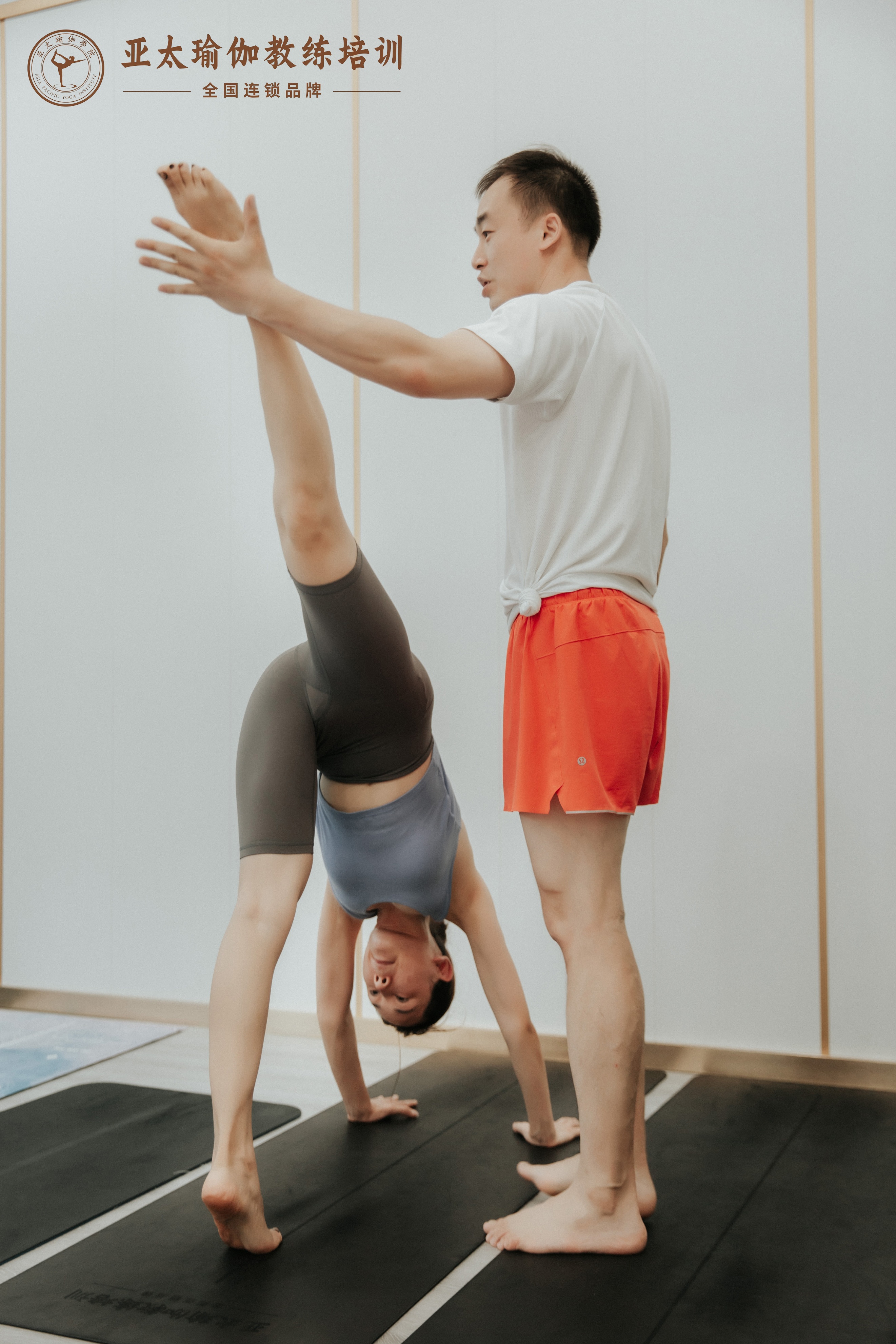 梵羽国际瑜伽零基础教练收费标准,成为瑜伽教练需要什么条件