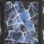 “FossilsDance－太古⽯的舞痕”