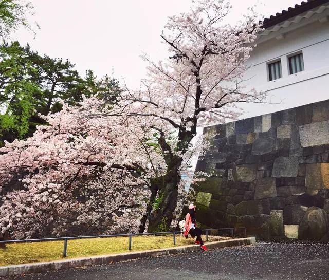 我，武汉IBM员工，为求婚创业，全款买独栋别墅，肠子都悔青了