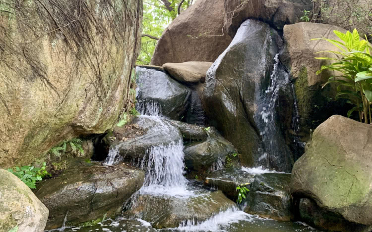 赏城中美景，品厦门味道。城市中心C位酒店，毗邻植物园、中山路