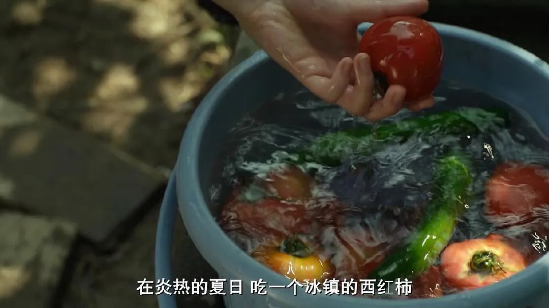 宅家美食大片,宅家美食纪录片第一集