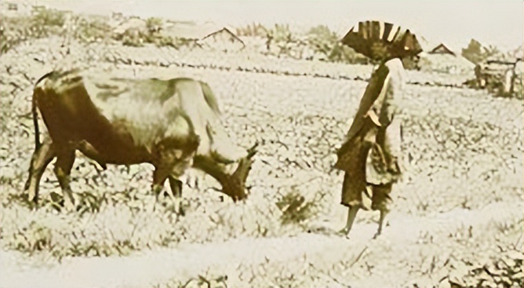 明清云南妇女生活研究：慈母歌颂的还是抚子有成的母亲吗？